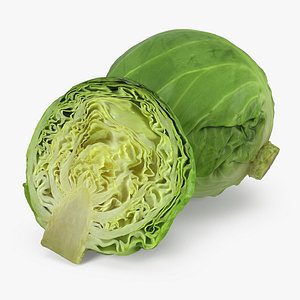 3D cabbage realistic