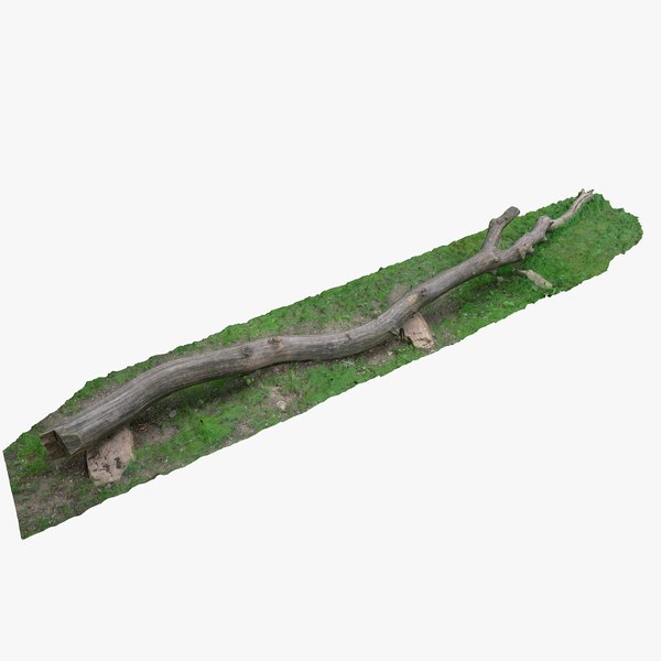 3D Tree trunk bench long