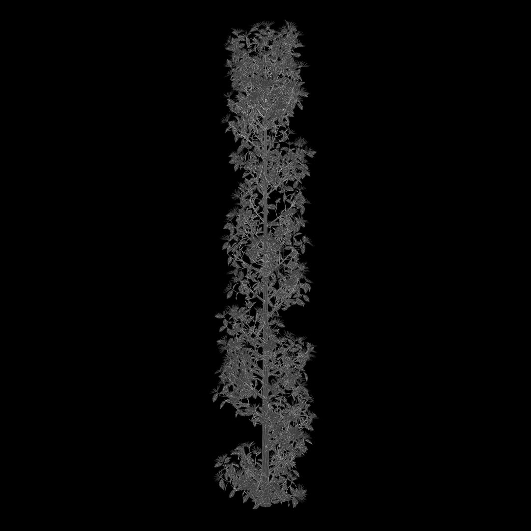 ApartmentSet2v2 3D https://p.turbosquid.com/ts-thumb/TE/DuwWiB/Vd/tokiwamansaku_hedge_2000_b_spr.vrayextratex_wireframe.0000/jpg/1757665255/1920x1080/fit_q87/0c98c1d588c991166857ddafd65fadad438630e5/tokiwamansaku_hedge_2000_b_spr.vrayextratex_wireframe.0000.jpg