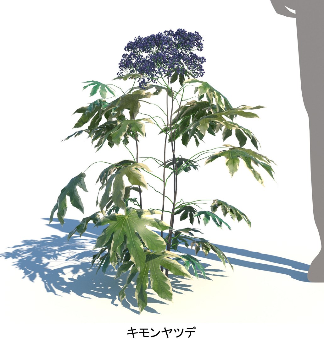 ApartmentSet2v2 3D https://p.turbosquid.com/ts-thumb/TE/DuwWiB/cG/yatude_kimon_800_a_spr/jpg/1757665257/1920x1080/fit_q87/a5afdd40e67bf1ab894a495ddf171c58b94f0890/yatude_kimon_800_a_spr.jpg