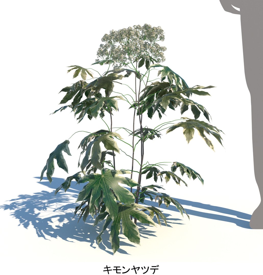 ApartmentSet2v2 3D https://p.turbosquid.com/ts-thumb/TE/DuwWiB/j9/yatude_kimon_800_a_win/jpg/1757665258/1920x1080/fit_q87/e805c693bbb3db97fe9f25b9f73b4f7b4031662a/yatude_kimon_800_a_win.jpg