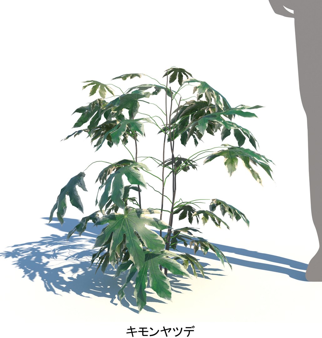 ApartmentSet2v2 3D https://p.turbosquid.com/ts-thumb/TE/DuwWiB/zw/yatude_kimon_800_a_sum/jpg/1757665257/1920x1080/fit_q87/88c11435dc4072d654489a802300bf0ce5d8103a/yatude_kimon_800_a_sum.jpg