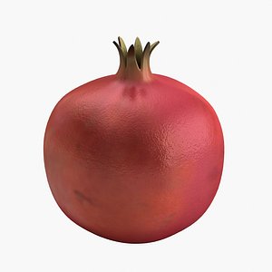 pomegranate 3d model