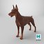 Dobermann Hund Braun