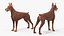 Dobermann Hund Braun