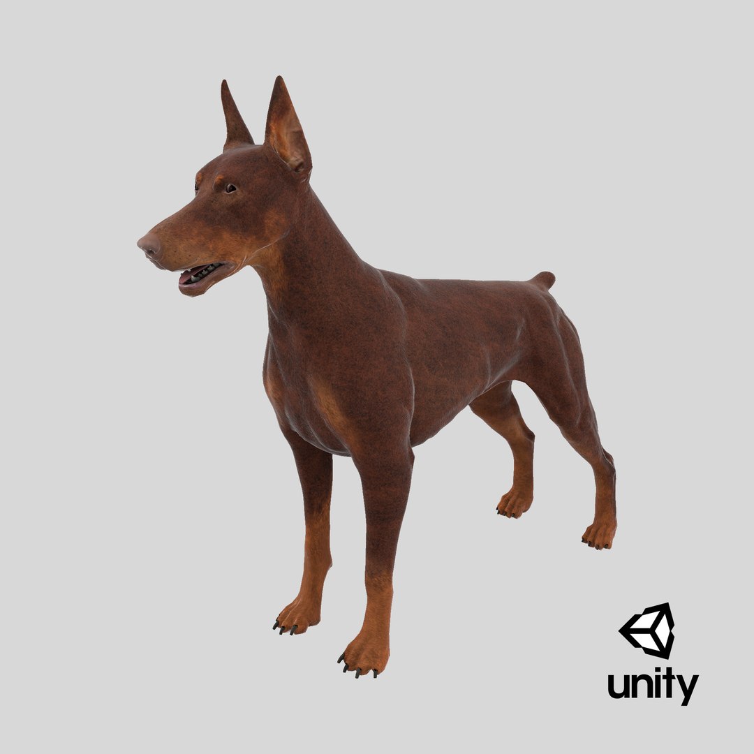 3D Doberman Dog Brown model https://p.turbosquid.com/ts-thumb/TE/cRmDdh/p1/stemcell_unity_render/png/1717756214/1920x1080/fit_q87/53110506eb69dc4c167c6a4114c8bdc3a7feec05/stemcell_unity_render.jpg