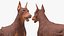 Dobermann Hund Braun