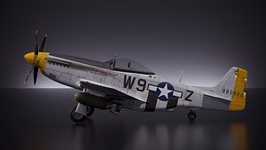 P51D Mustang