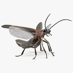 3D Big Dipper Firefly Standing Pose Fur model
