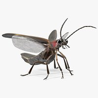 Big Dipper Firefly Standing Pose Fur