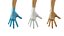gloved medical hand