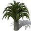 2020 XfrogPlants Oceania 2
