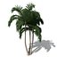 2020 XfrogPlants Oceania 2