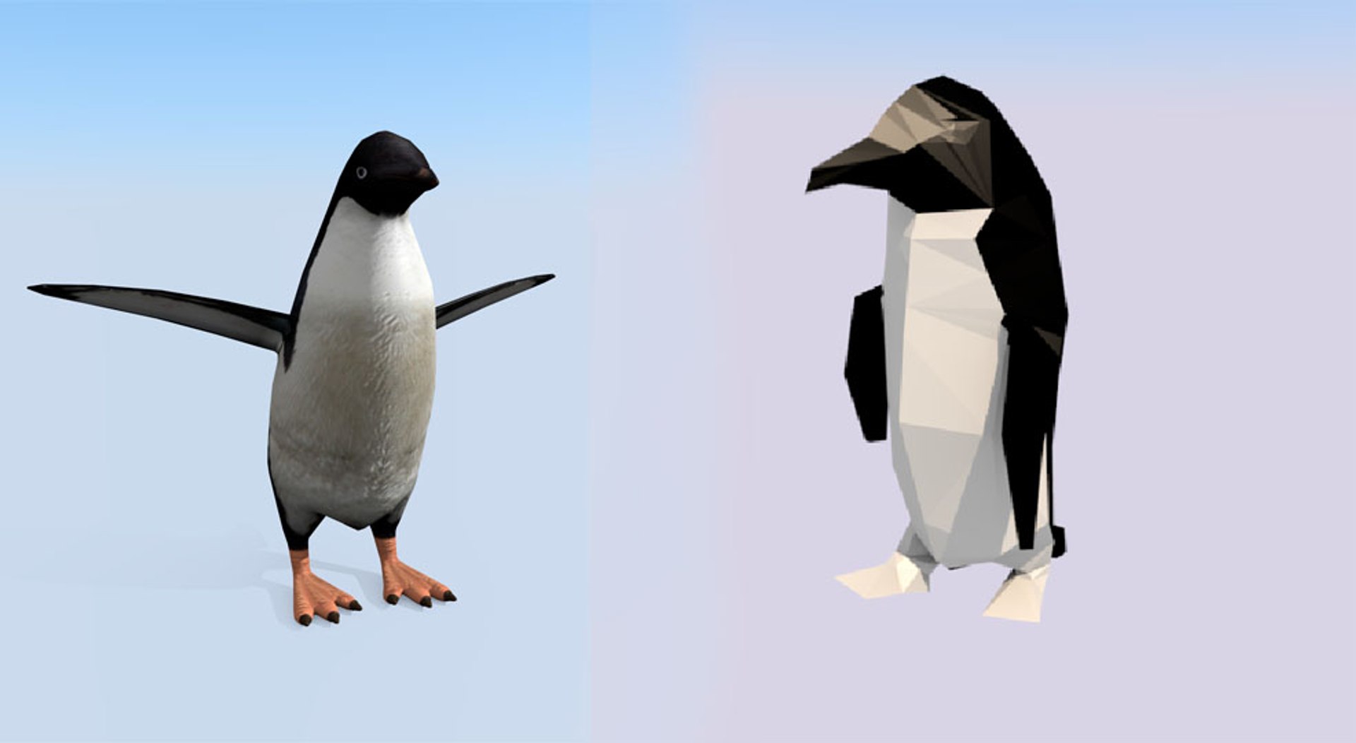 3d Penguin Rigged Games