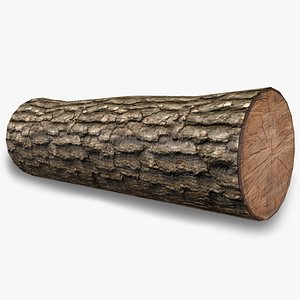 Low Poly Log 2