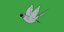 Monk Quaker Parrot Bird