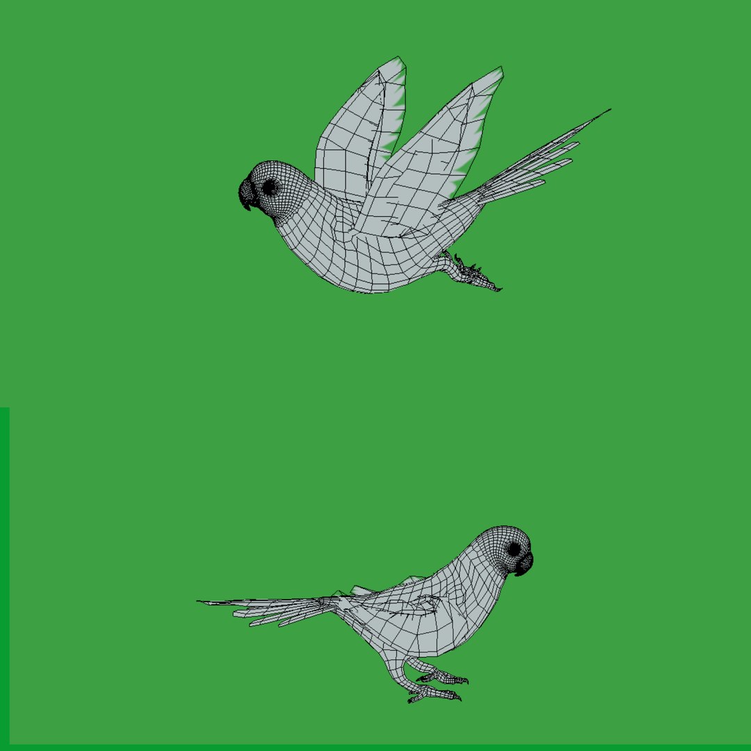 Monk Quaker Parrot Bird 3D model https://p.turbosquid.com/ts-thumb/TF/BdchDM/4a/wire/png/1736895182/1920x1080/fit_q87/1e4da94f351375027313981cb22f073eb57f3d10/wire.jpg