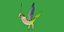 Monk Quaker Parrot Bird