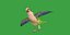 Monk Quaker Parrot Bird