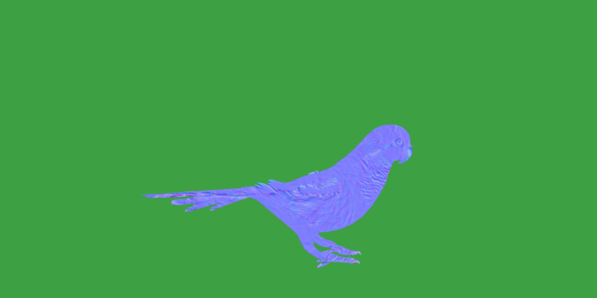 Monk Quaker Parrot Bird 3D model https://p.turbosquid.com/ts-thumb/TF/BdchDM/RA/monk_quaker_parrot8/png/1736895121/1920x1080/fit_q87/299f6214751b924239e9a7ed1b7dc3afcd5809b3/monk_quaker_parrot8.jpg