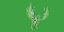 Monk Quaker Parrot Bird