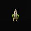 Monk Quaker Parrot Bird