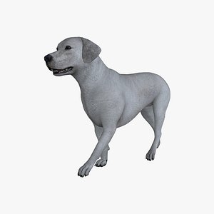 3D model LAB-001 Dog Walking