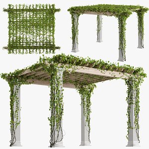 Classic pergola with ivy v2