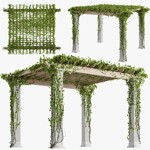 Classic pergola with ivy v2