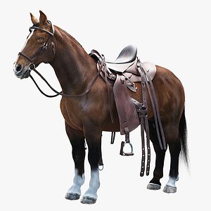 Horse with Saddle