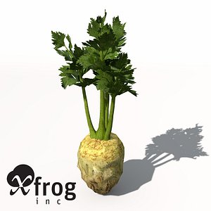 XfrogPlants Celery