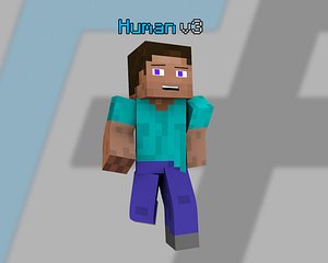 Human v3 Rig