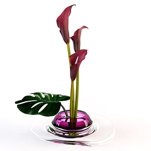 3d ikebana callas model