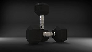 rubber hex dumbbells 3D model