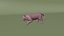 Paquete de animales definitivo: 17 especies, totalmente equipado y listo para jugar con pelaje.