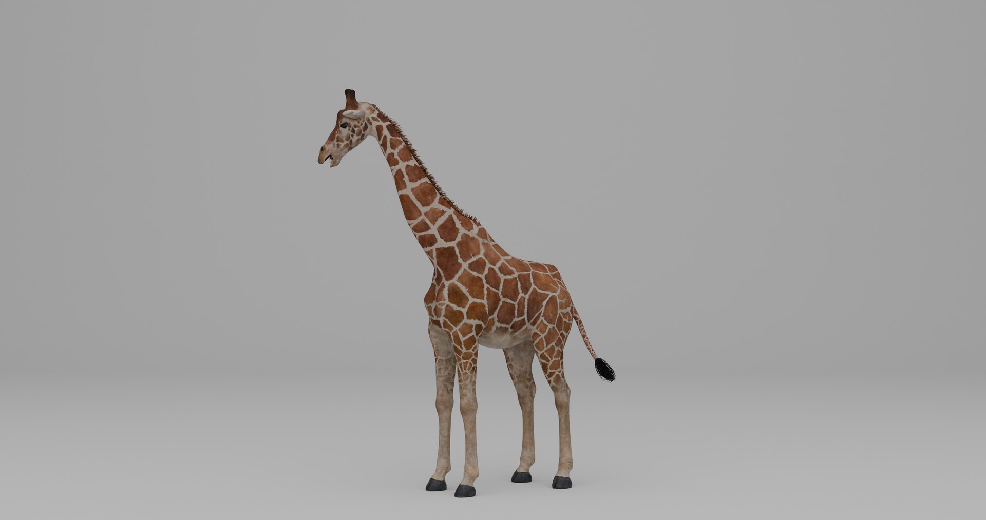 Ultimate Animal Bundle  17 Species  Fully Rigged Game Ready with Fur 3D model https://p.turbosquid.com/ts-thumb/TF/cBvZxh/B1/g2/png/1766508105/1920x1080/fit_q87/f14ffee521f274cff0da374a4f67cda431352b80/g2.jpg