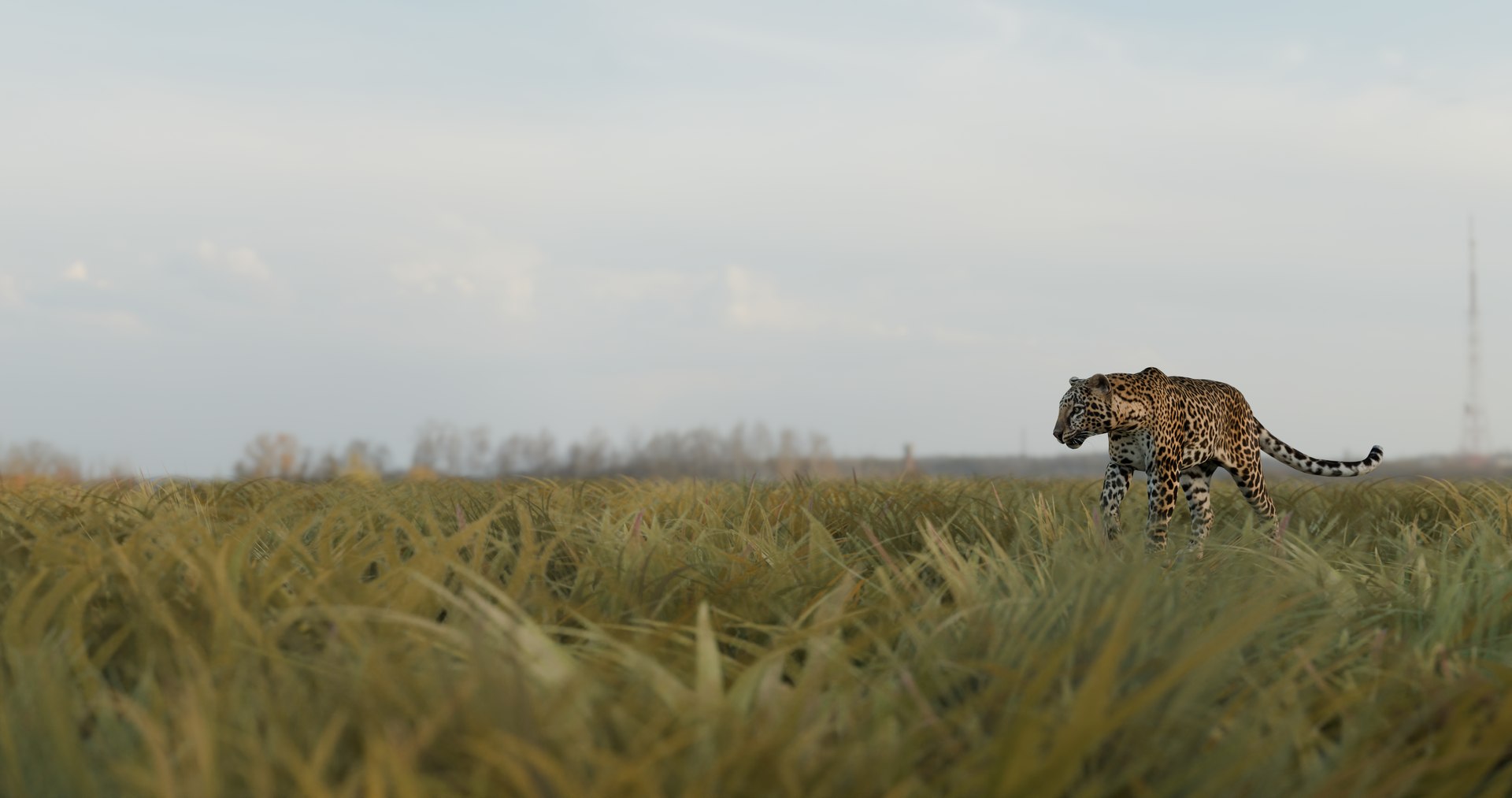Ultimate Animal Bundle  17 Species  Fully Rigged Game Ready with Fur 3D model https://p.turbosquid.com/ts-thumb/TF/cBvZxh/Dx/environmental/png/1766508642/1920x1080/fit_q87/0445b1ef5c5facf01addd758847ed7d840b22099/environmental.jpg