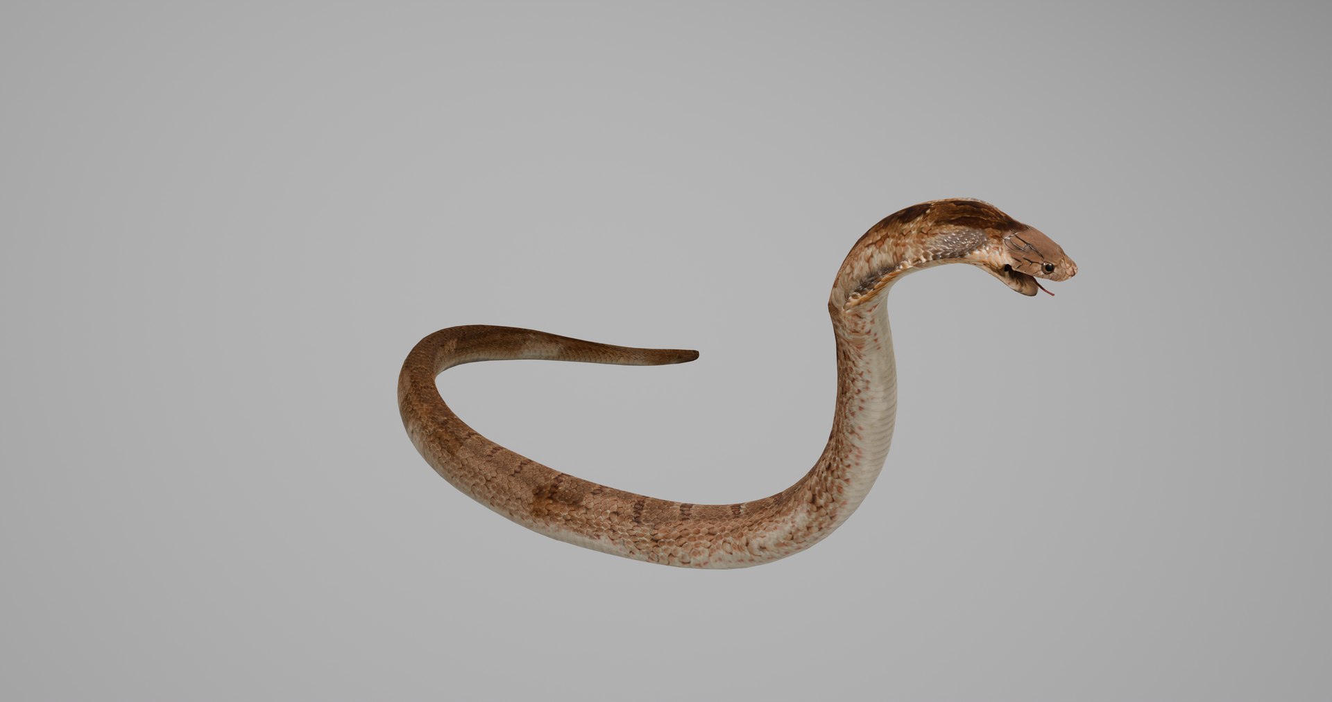 Ultimate Animal Bundle  17 Species  Fully Rigged Game Ready with Fur 3D model https://p.turbosquid.com/ts-thumb/TF/cBvZxh/EJ/snakep1/png/1766508887/1920x1080/fit_q87/25b919b2b5841137082a89b1bd17910cac6cdf4f/snakep1.jpg