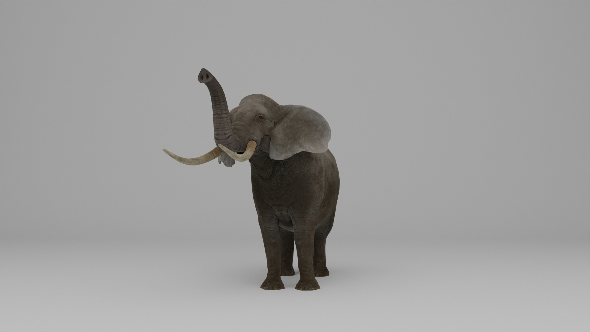 Ultimate Animal Bundle  17 Species  Fully Rigged Game Ready with Fur 3D model https://p.turbosquid.com/ts-thumb/TF/cBvZxh/HB/turntable/png/1766510489/1920x1080/turn_fit_q99/a0a085636c297fb42e6c5682b96e3183da06ee8c/turntable-1.jpg