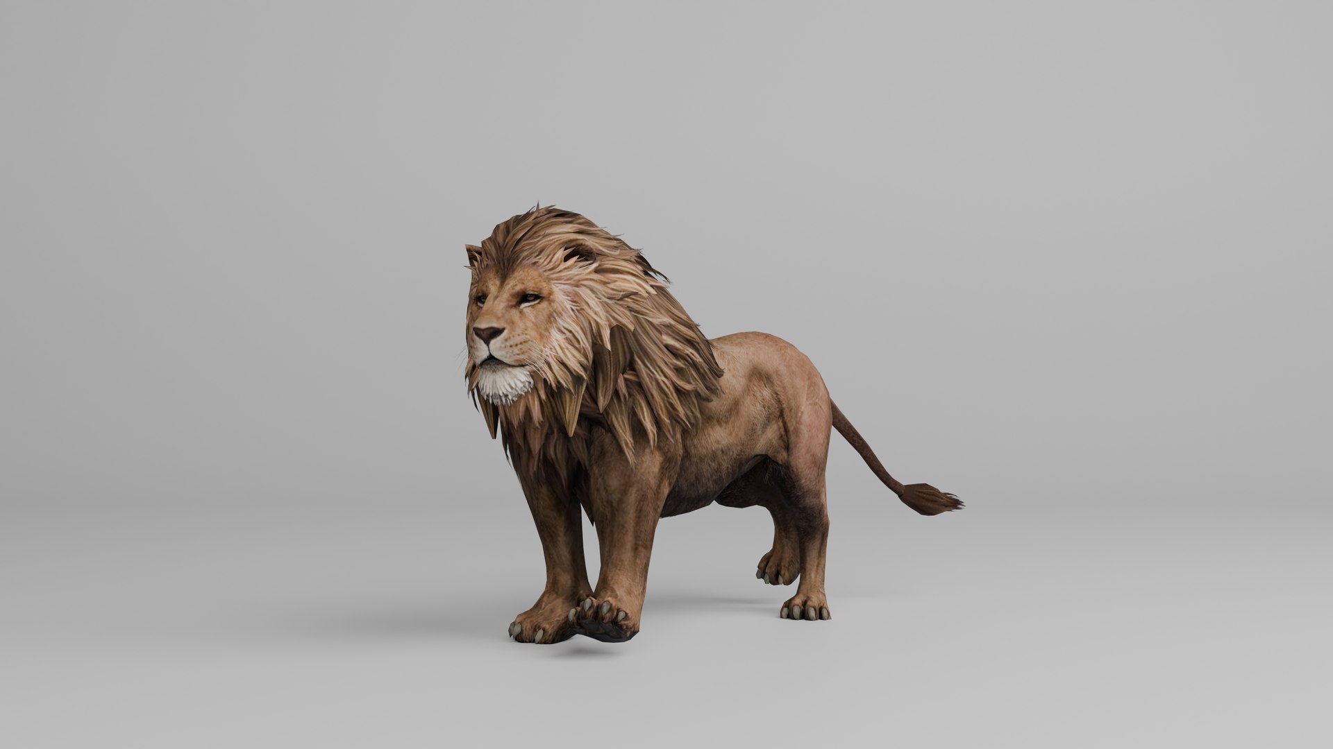 Ultimate Animal Bundle  17 Species  Fully Rigged Game Ready with Fur 3D model https://p.turbosquid.com/ts-thumb/TF/cBvZxh/IK/lionp2/png/1766506825/1920x1080/fit_q87/abc67e5c549a42cf676b422bc9df7ae7e35aca14/lionp2.jpg