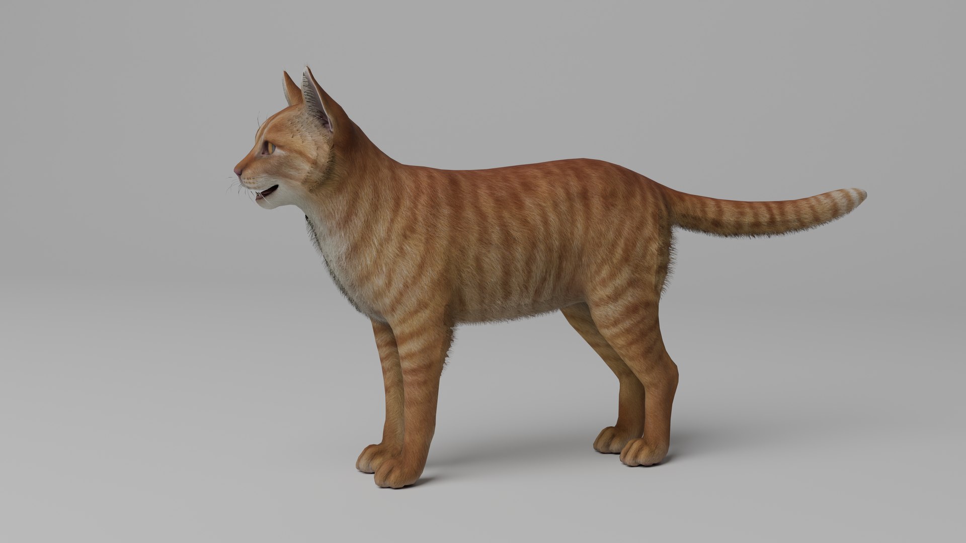 Ultimate Animal Bundle  17 Species  Fully Rigged Game Ready with Fur 3D model https://p.turbosquid.com/ts-thumb/TF/cBvZxh/JU/cat2/png/1766507320/1920x1080/fit_q87/9271c59332f9afbc9805657f032dc7b8db788ec8/cat2.jpg