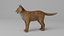 Paquete de animales definitivo: 17 especies, totalmente equipado y listo para jugar con pelaje.