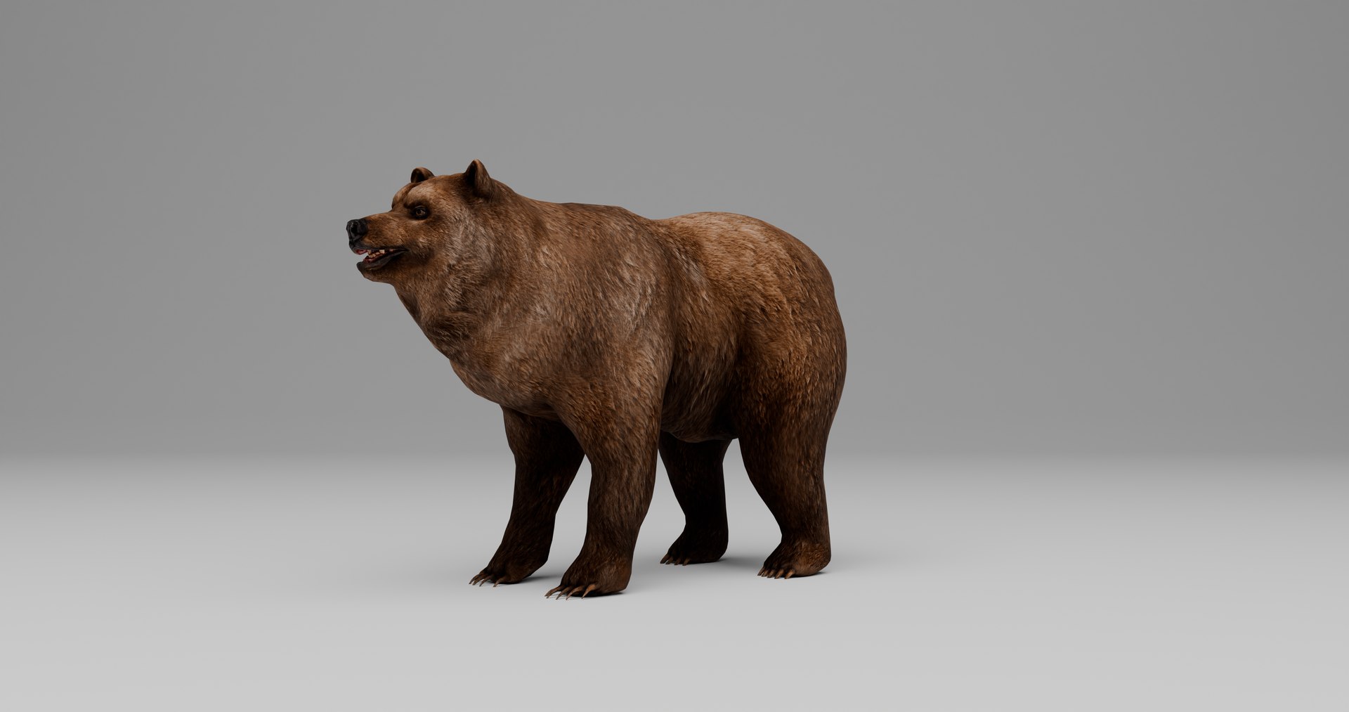 Ultimate Animal Bundle  17 Species  Fully Rigged Game Ready with Fur 3D model https://p.turbosquid.com/ts-thumb/TF/cBvZxh/Ns/p/png/1766507017/1920x1080/fit_q87/5299f03371682d678964e831aae3772f9bc6fcb8/p.jpg