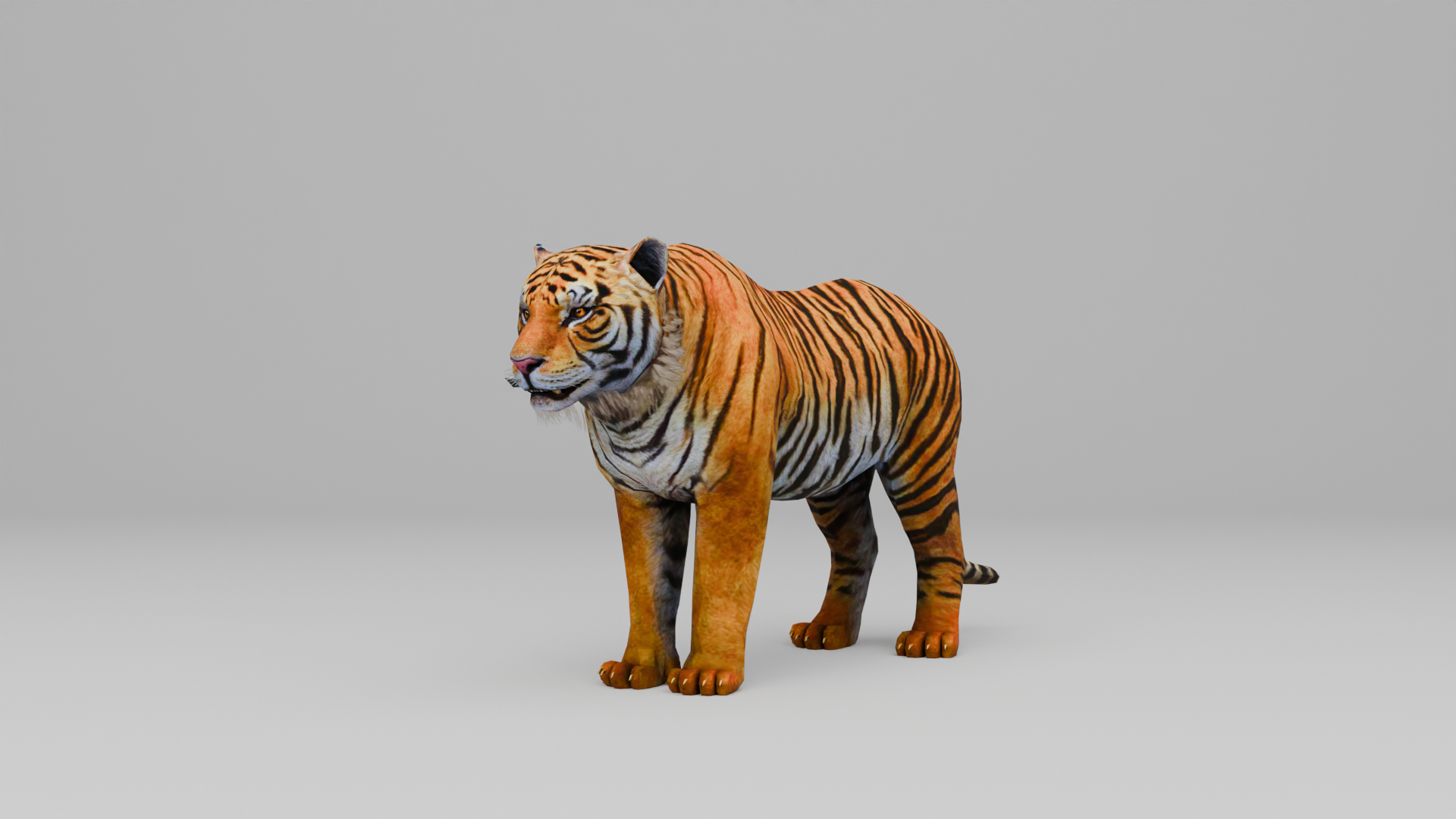 Ultimate Animal Bundle  17 Species  Fully Rigged Game Ready with Fur 3D model https://p.turbosquid.com/ts-thumb/TF/cBvZxh/O3/turntable/png/1766529010/1920x1080/turn_fit_q99/3c79f3c18dbb59188a2a7d1d00a0698b9491cec9/turntable-1.jpg