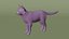 Paquete de animales definitivo: 17 especies, totalmente equipado y listo para jugar con pelaje.