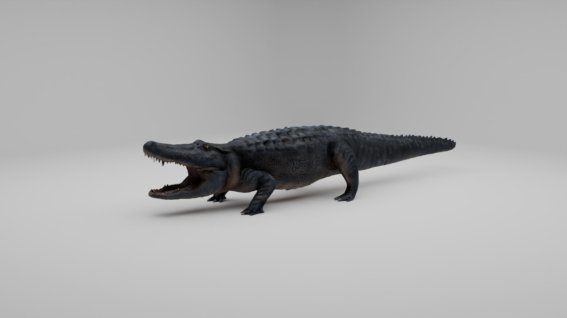 Ultimate Animal Bundle  17 Species  Fully Rigged Game Ready with Fur 3D model https://p.turbosquid.com/ts-thumb/TF/cBvZxh/P9/cro1/png/1766507422/1920x1080/fit_q87/3cbb3313787c5c24b5b4708702c17eee06eeeeaf/cro1.jpg