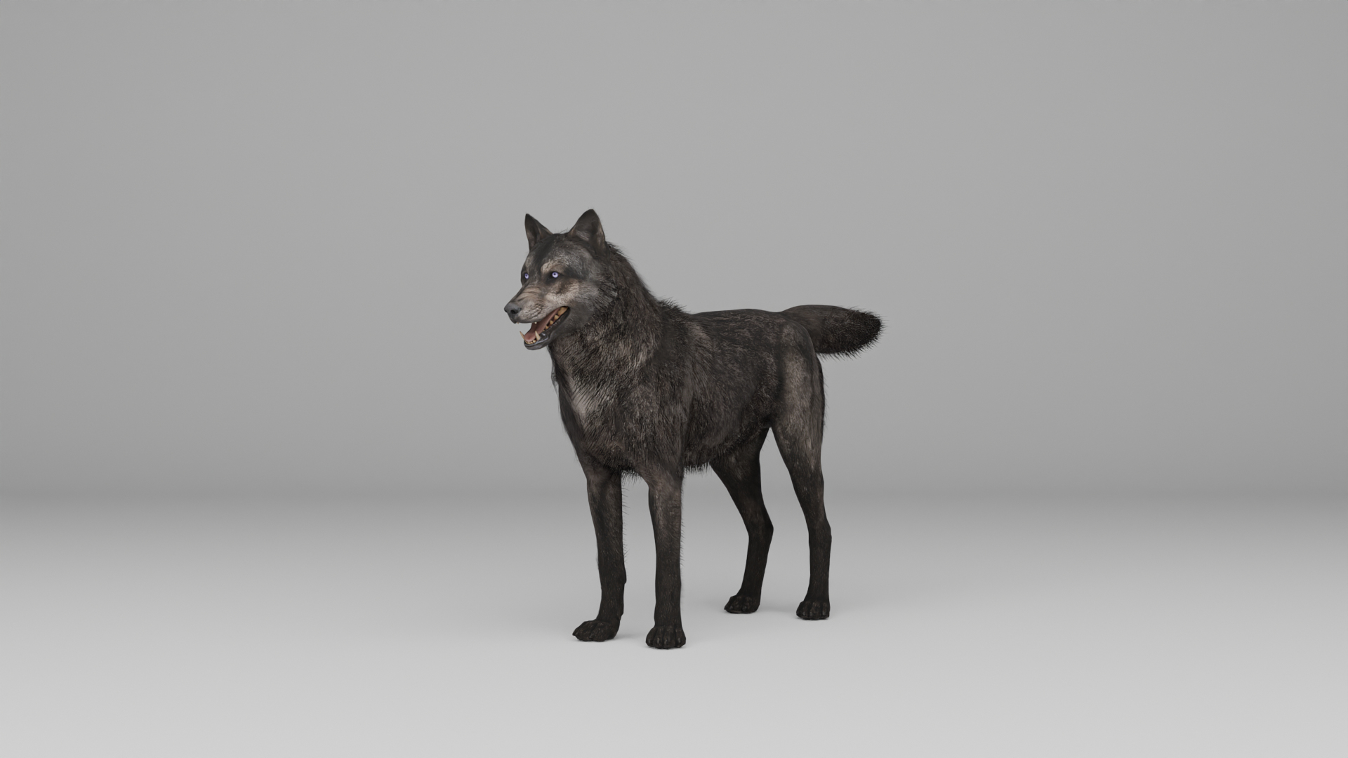 Ultimate Animal Bundle  17 Species  Fully Rigged Game Ready with Fur 3D model https://p.turbosquid.com/ts-thumb/TF/cBvZxh/R2/turntable/png/1766529401/1920x1080/turn_fit_q99/af49e50cb407a1c60bd8efdec521100859d414e7/turntable-1.jpg