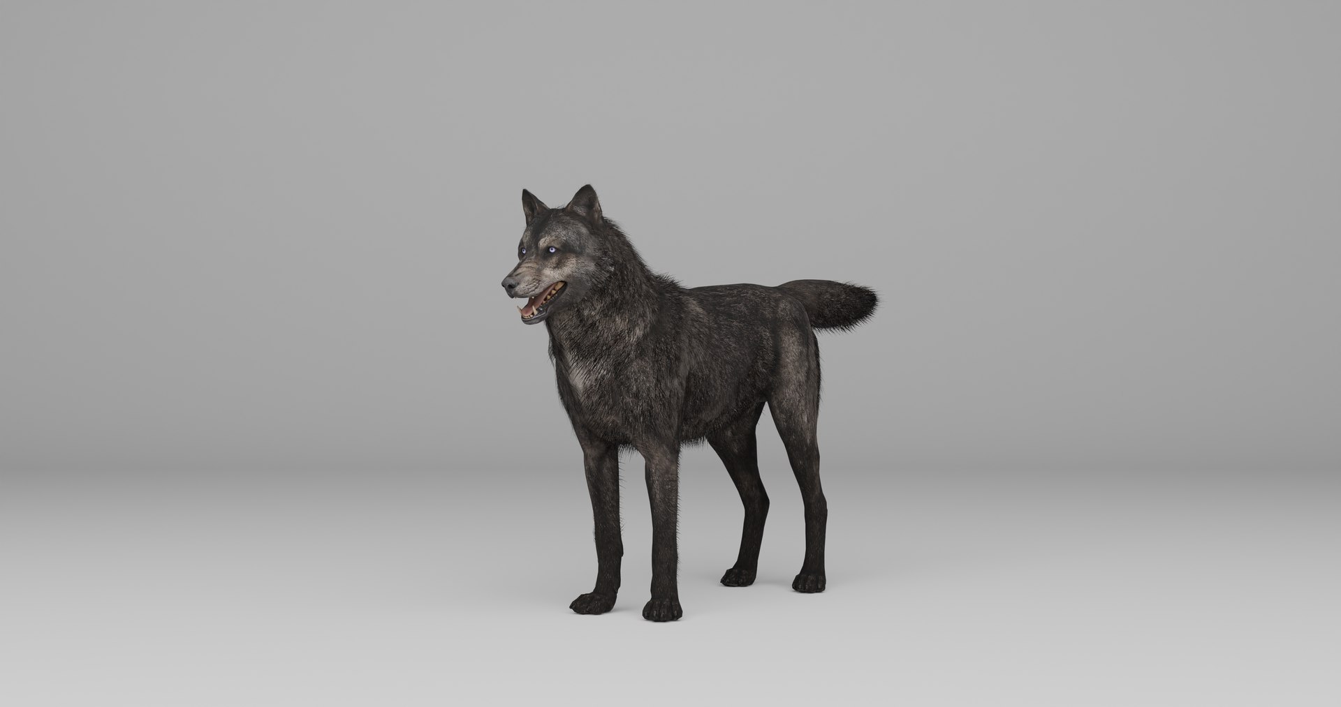 Ultimate Animal Bundle  17 Species  Fully Rigged Game Ready with Fur 3D model https://p.turbosquid.com/ts-thumb/TF/cBvZxh/RU/11/png/1766509029/1920x1080/fit_q87/edd986eca3ce03eb7f443f3d94cb39f41d89bb84/11.jpg