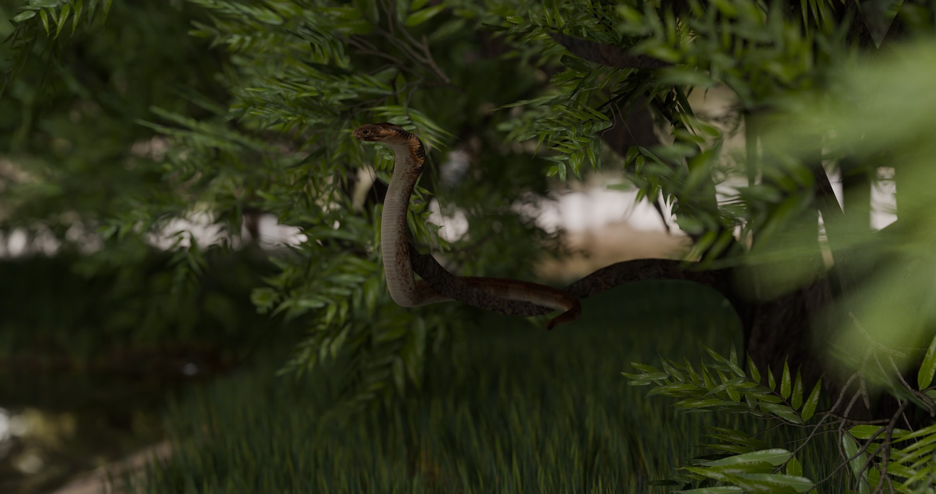Ultimate Animal Bundle  17 Species  Fully Rigged Game Ready with Fur 3D model https://p.turbosquid.com/ts-thumb/TF/cBvZxh/Ru/snakeenvironmental/png/1766508889/1920x1080/fit_q87/e796ad5de83c25644289789bab80c642cee5e501/snakeenvironmental.jpg