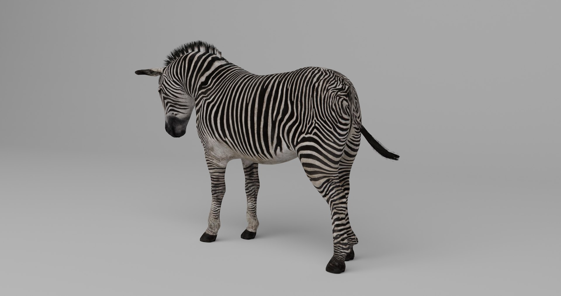 Ultimate Animal Bundle  17 Species  Fully Rigged Game Ready with Fur 3D model https://p.turbosquid.com/ts-thumb/TF/cBvZxh/S0/z3/png/1766509152/1920x1080/fit_q87/2cec8a7ceff41d4191eafbd57720d3f9f76bd667/z3.jpg